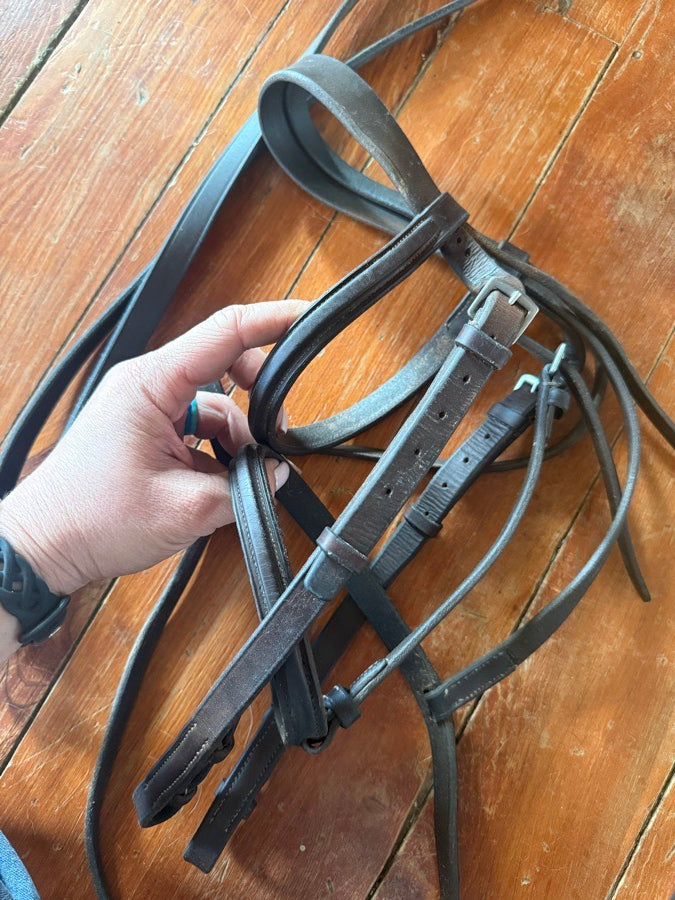 OTHER Horse sized bridle and reins (2)