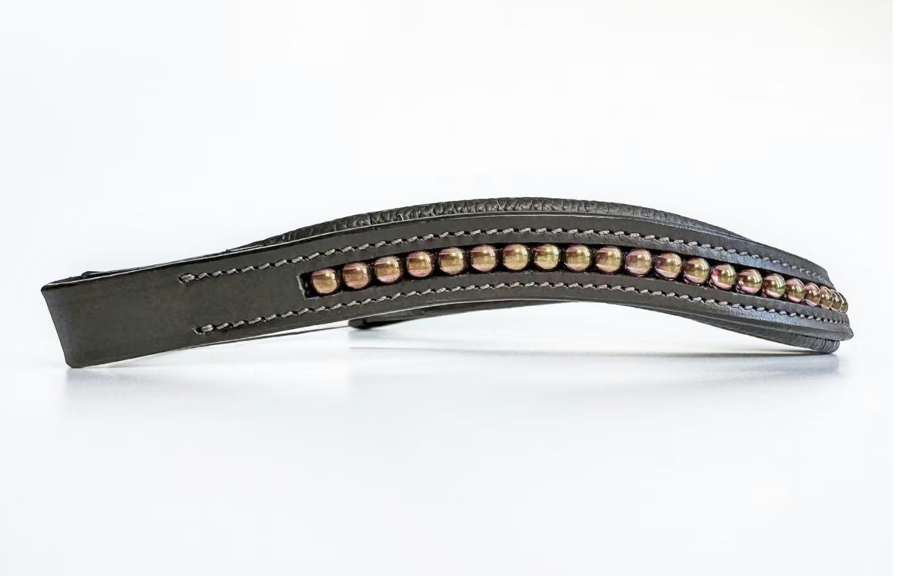 Other Iridescent Rose Beaded Browband (4)