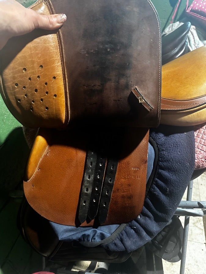 BEVAL 16” wide tree beval saddle (4)