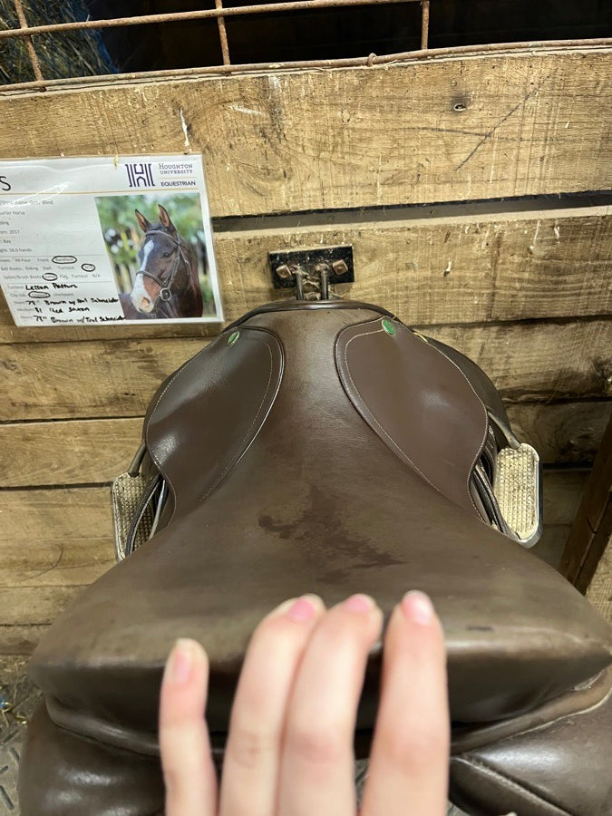 HDR - HENRI DE RIVEL HDR Jump Saddle (5)