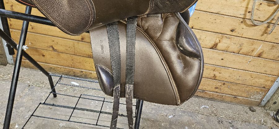 STUBBEN Stubben Roxanne (5)