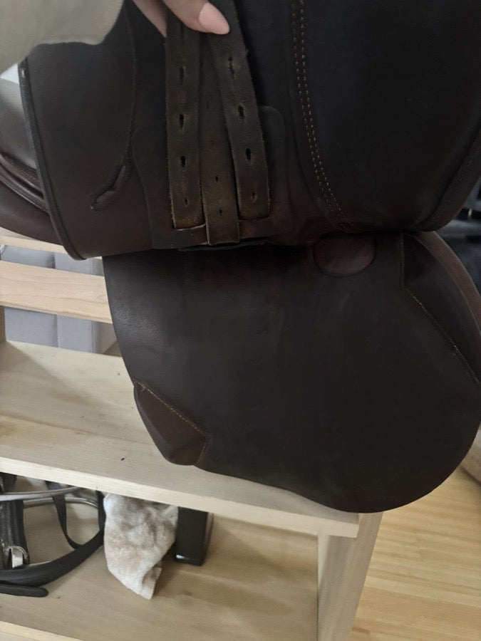 Other 16.5 Antares saddle for sale (4)