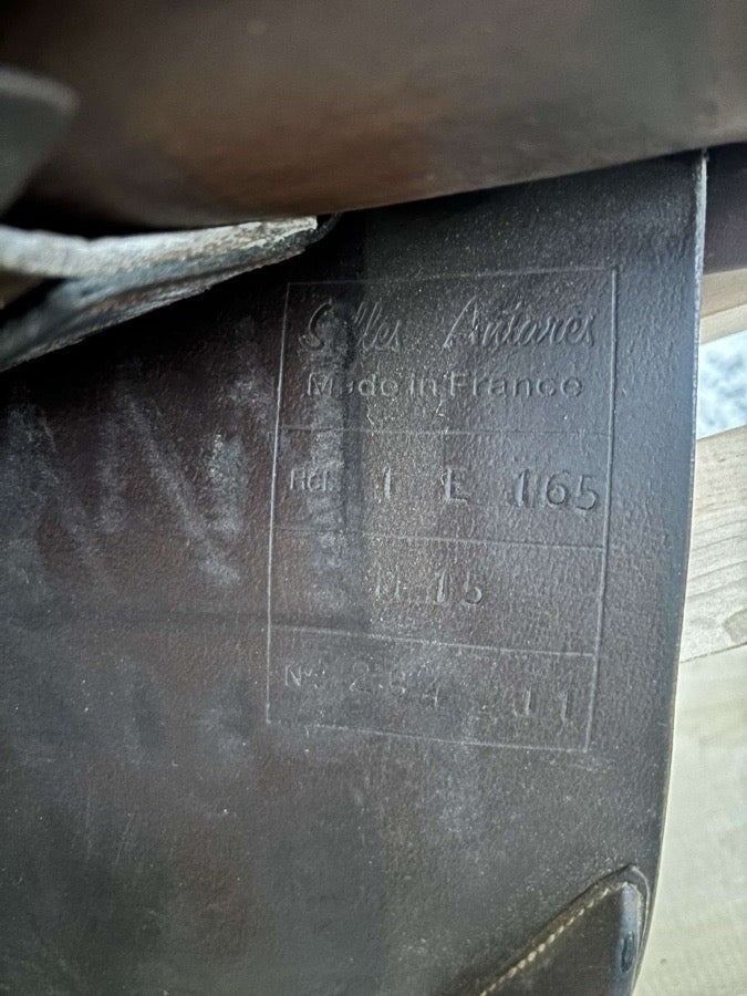 Other 16.5 Antares saddle for sale (7)