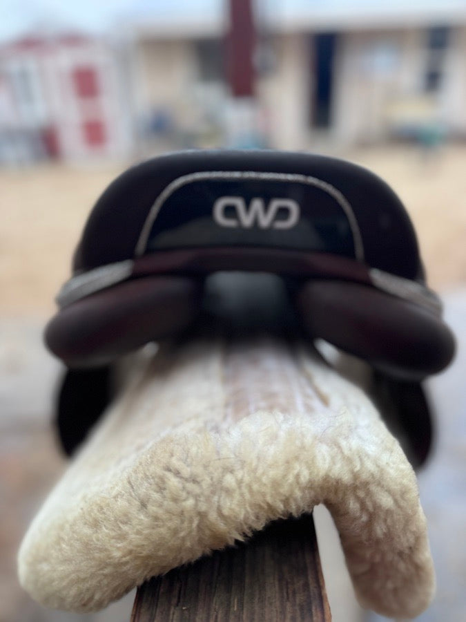 CWD CWD 2GS (4)