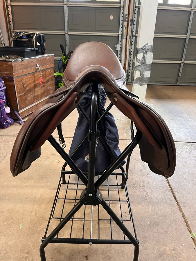ANTARES ANTARES | 18" | 5" Tree Size | 2024 (6)