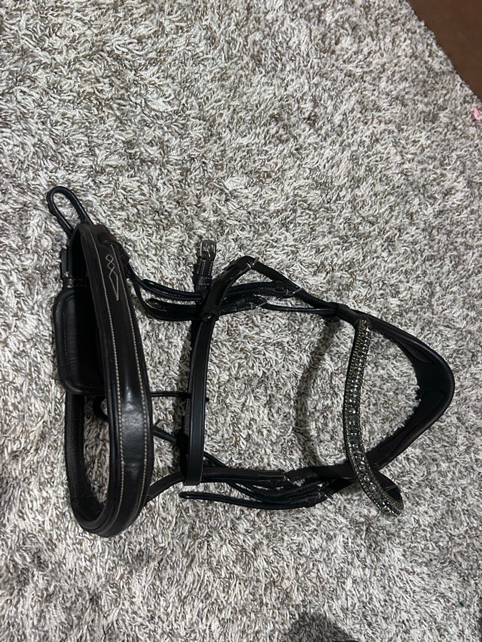 OTHER OTHER Bridle Horse