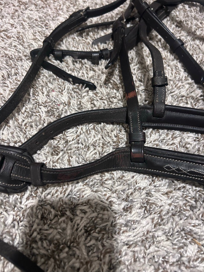 OTHER OTHER Bridle Horse (5)