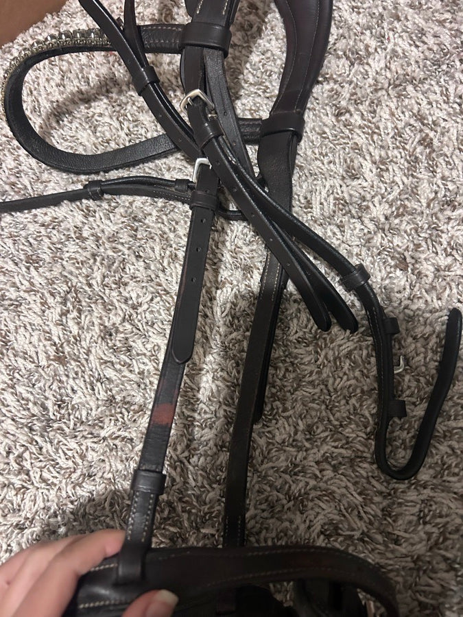 OTHER OTHER Bridle Horse (4)