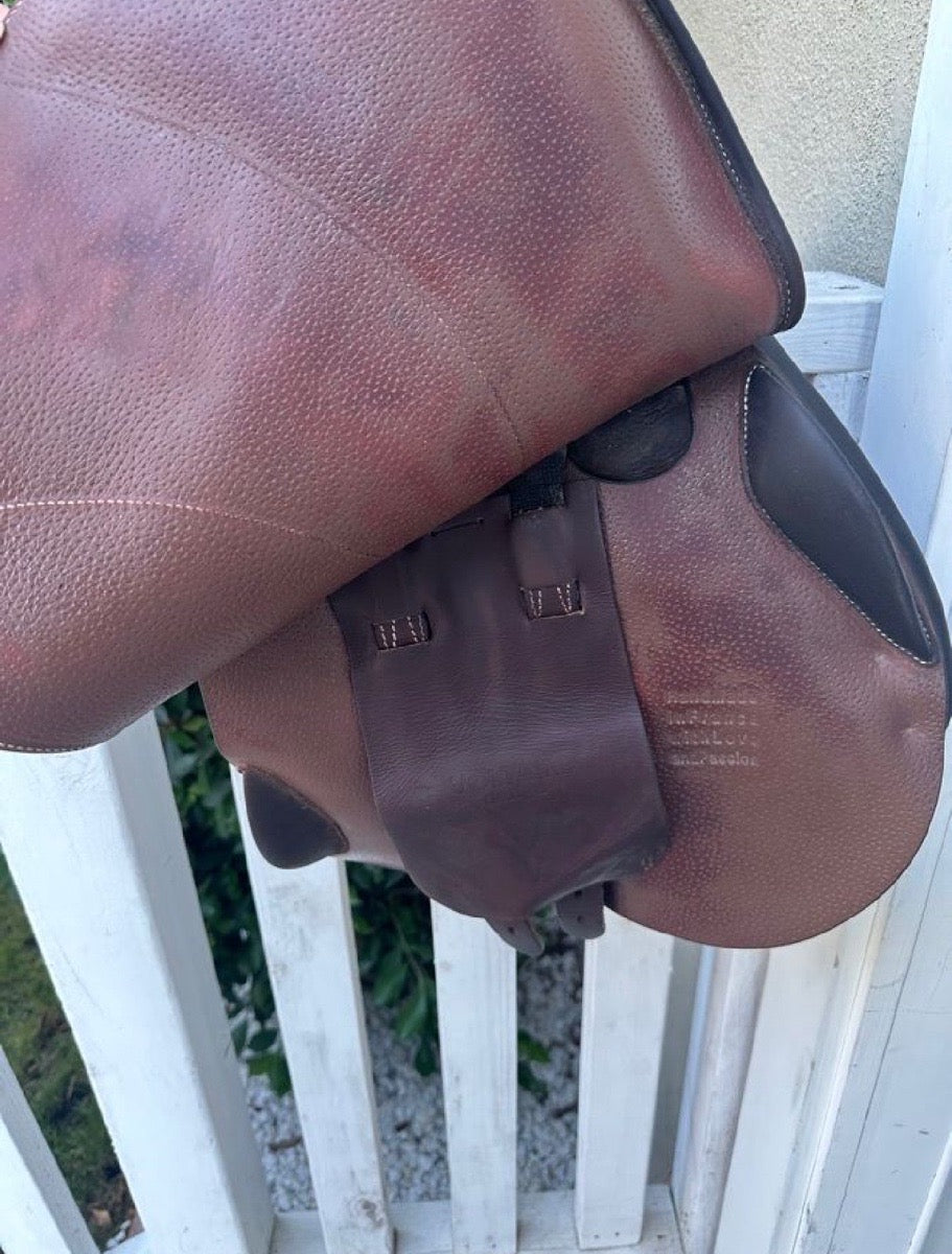 VOLTAIRE Palm Beach Voltaire 17” (6)
