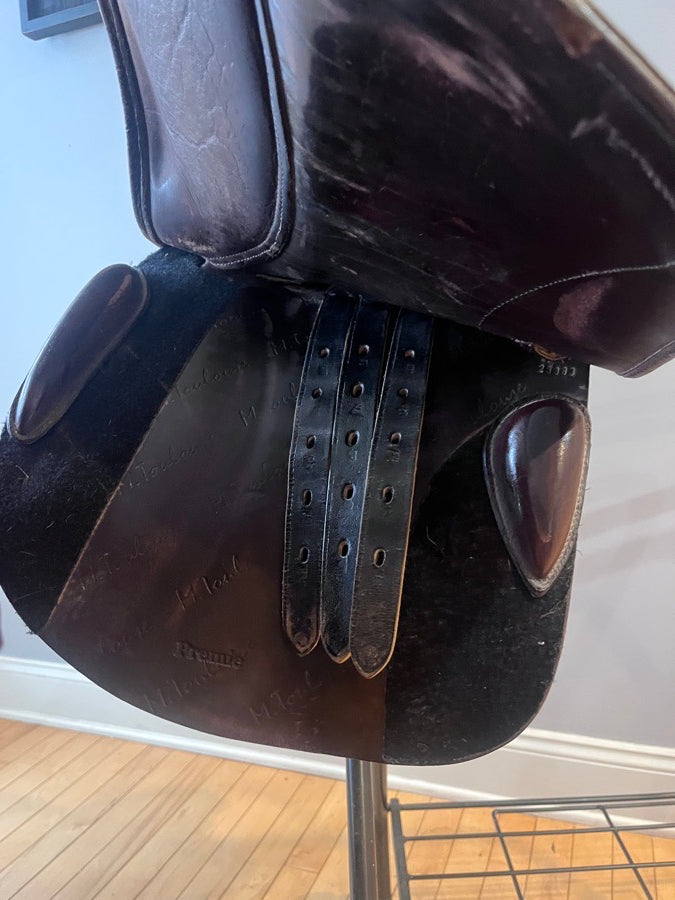 M.TOULOUSE M. Toulouse saddle (5)