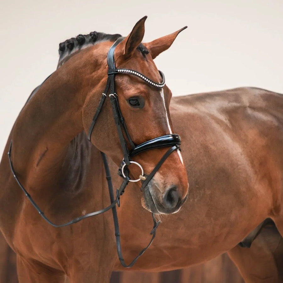 PASSIER Passier Atlas Bridle (2)