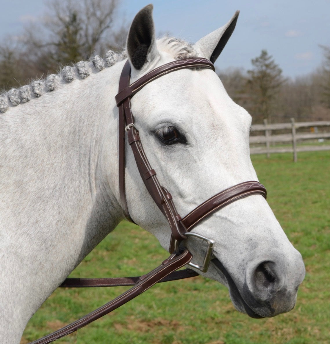 Huntley Equestrian Huntley Equestrian Bridle (2)