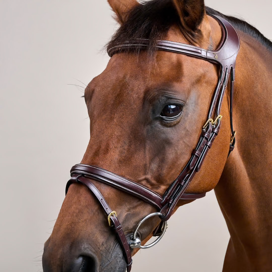 DY'ON Difference Bridle DY Snaffle Bridle Brown Leather Full Size Horse (2)