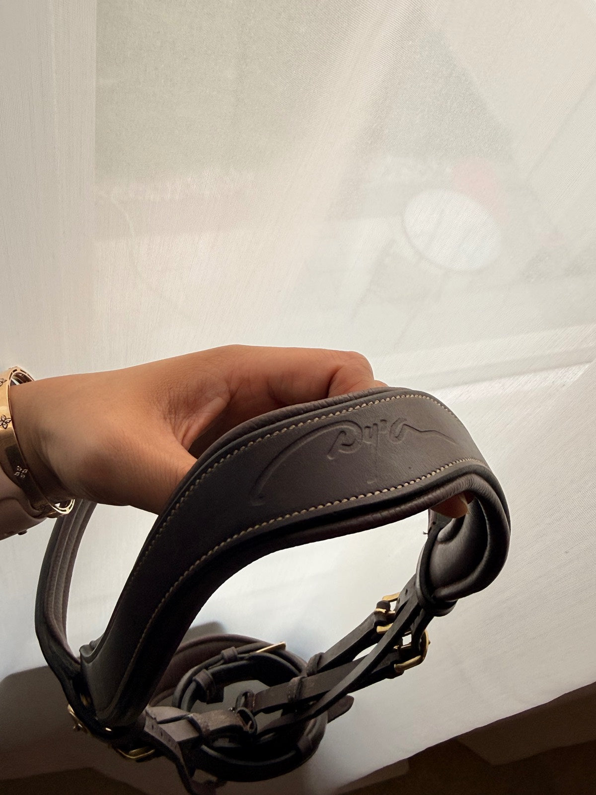 DY'ON DY'ON Bridle (2)