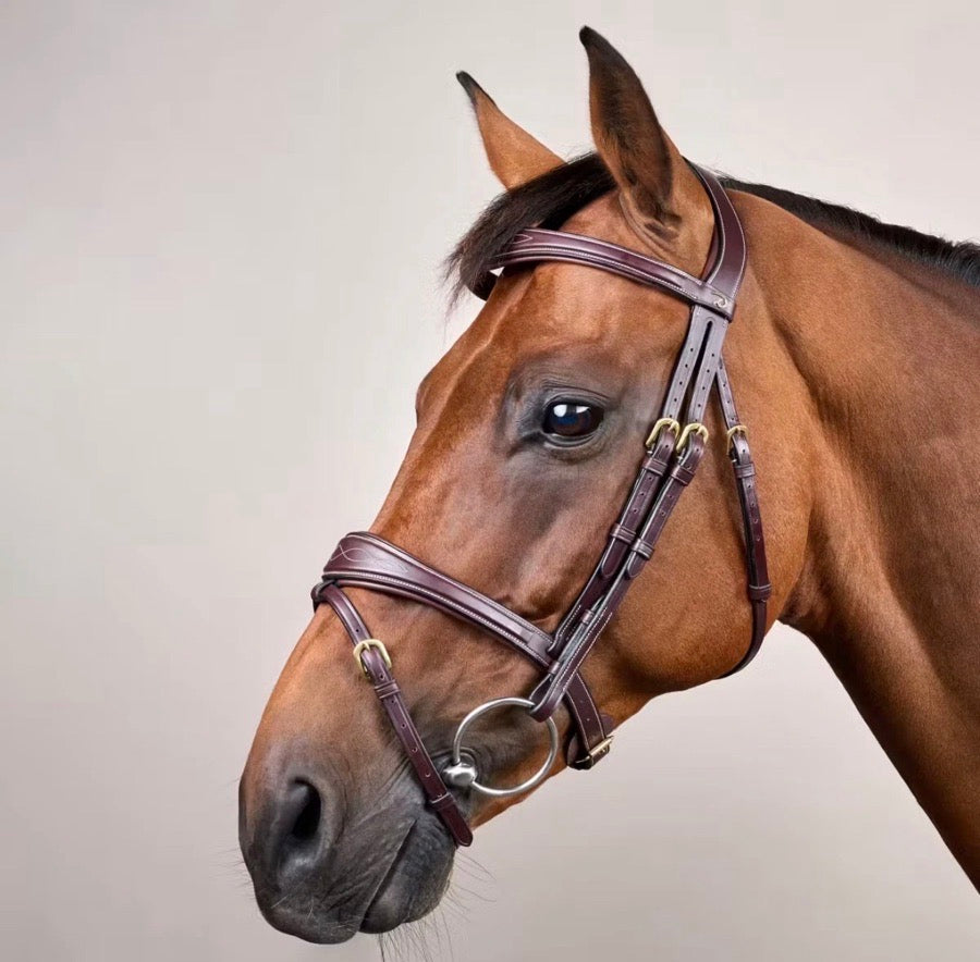 DY'ON DY'ON FLASH NOSEBAND BRIDLE BROWN GOLD COB