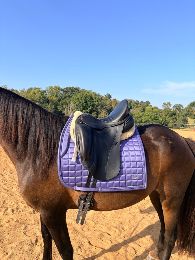 DK DK Dressage 17