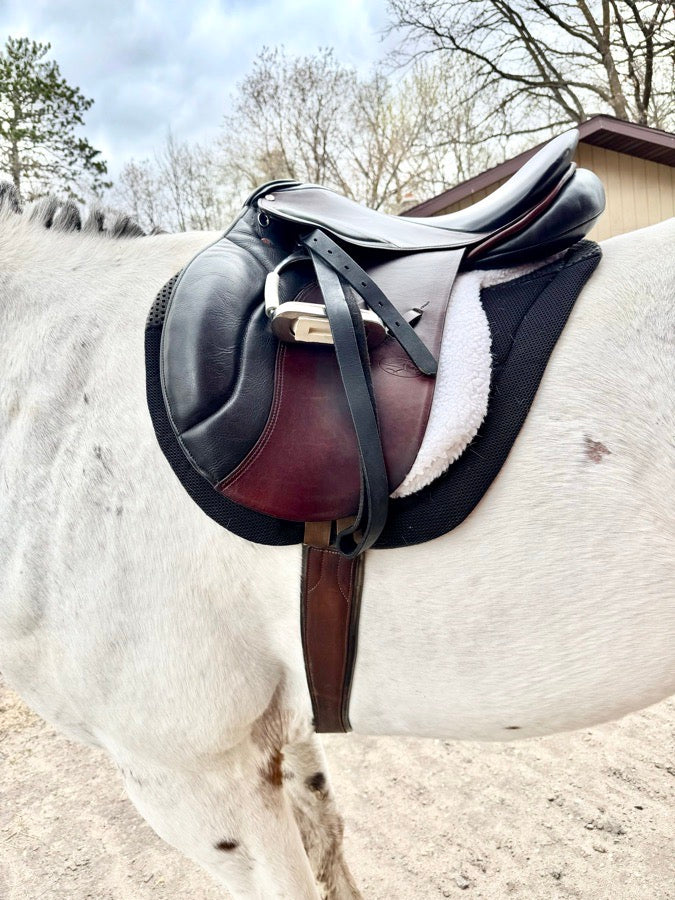 COURBETTE COURBETTE | 19" | 6" Tree Size