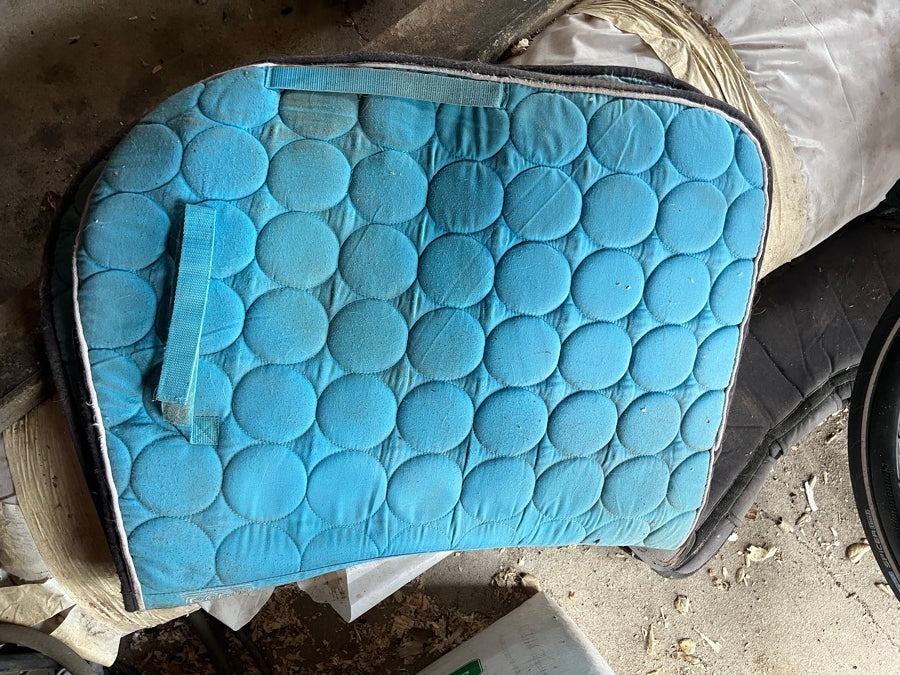 ROMA Sky blue all purpose saddle pad
