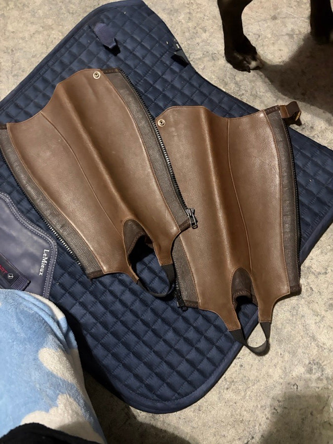 ARIAT Ariat half chaps in XXS!!!
