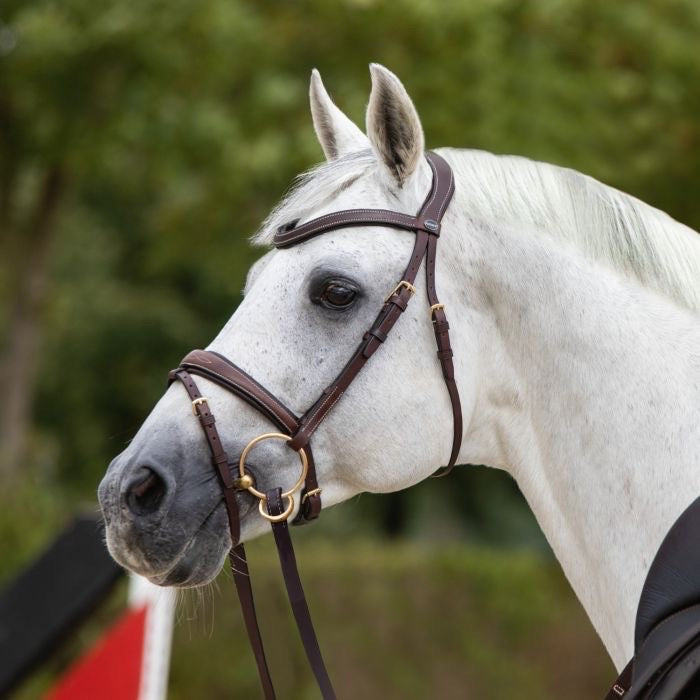 Other Passier No Limits Bridle