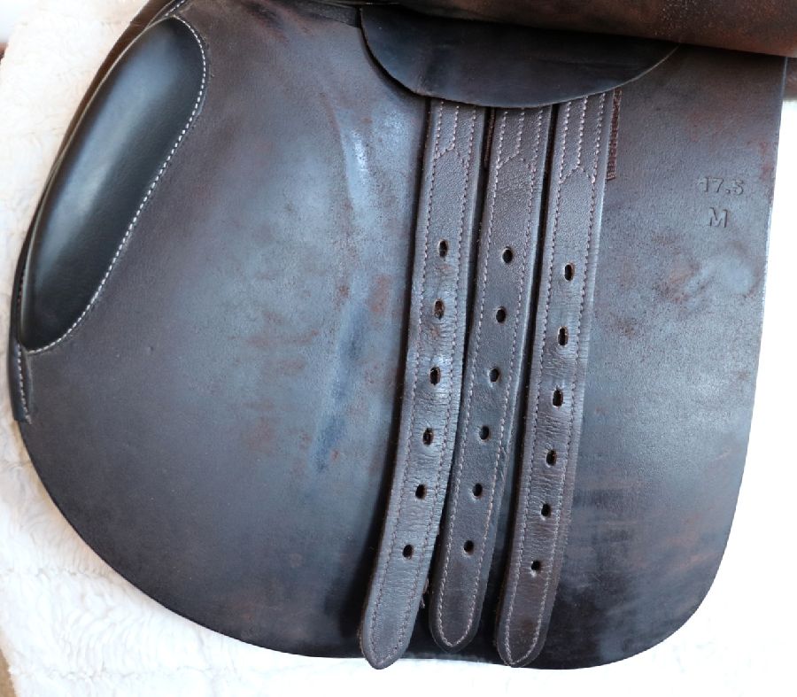 DOVER SADDLERY 17.5" M Circuit (Dover Saddlery) Saddle (5)