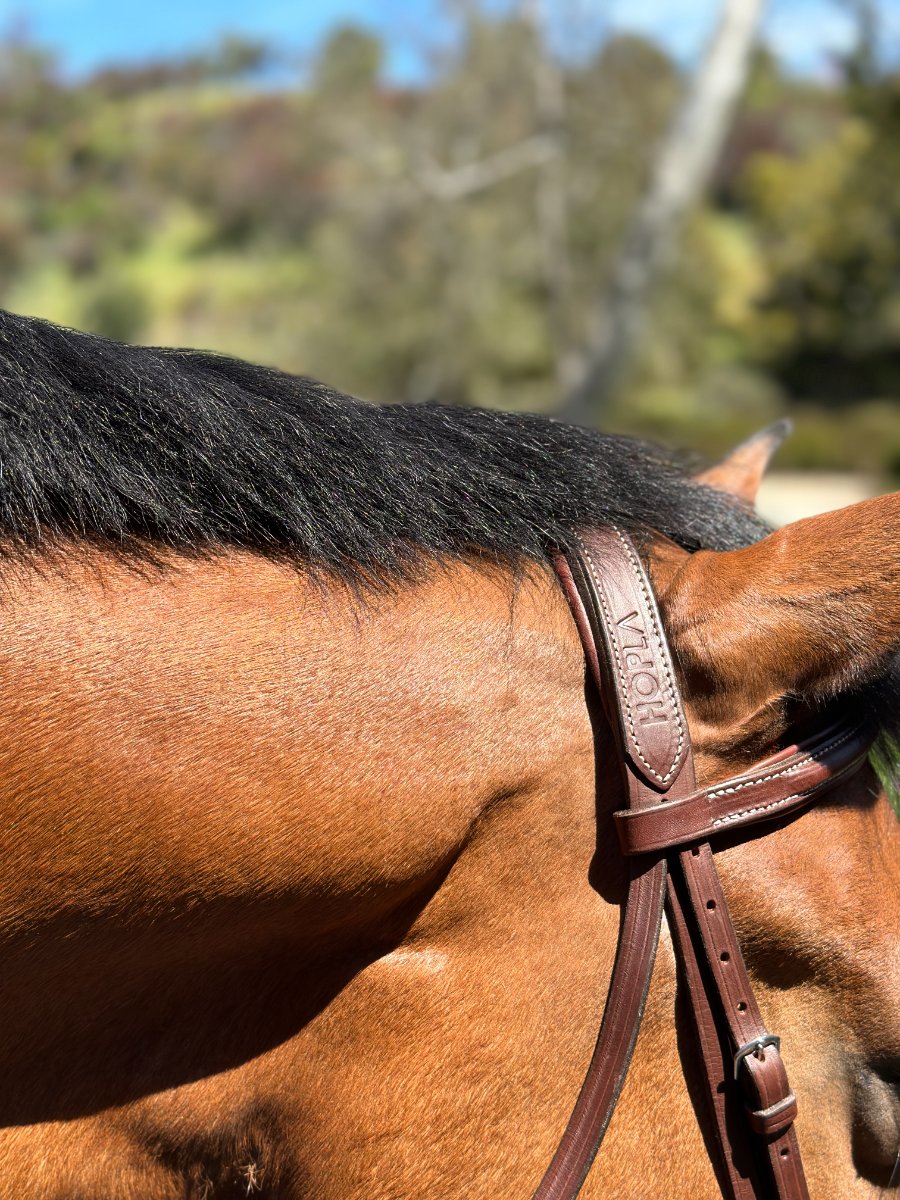 🧡 HOP LA Sellerie 🧡 HOPLA Sellerie Hunter Bridle With Fancy Stitching (5)