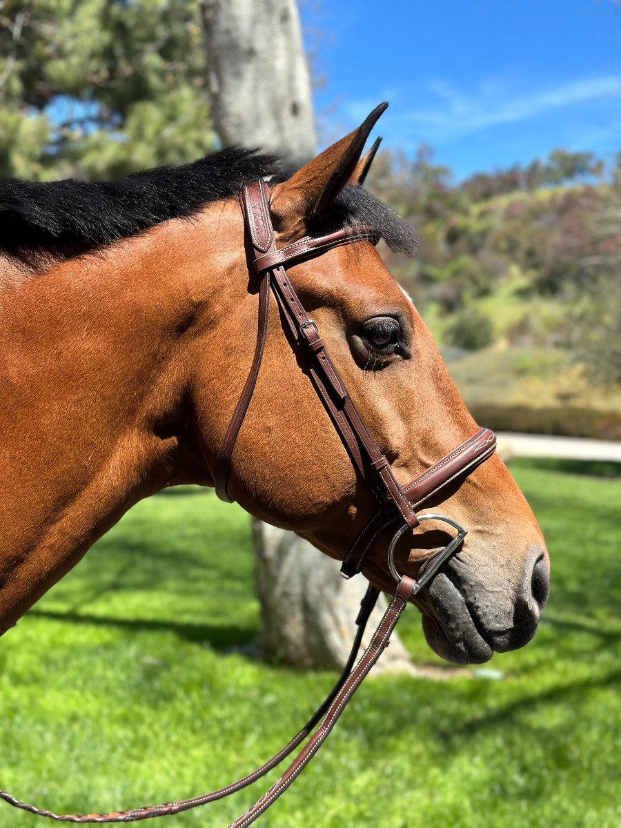 🧡 HOP LA Sellerie 🧡 HOPLA Sellerie Hunter Bridle With Fancy Stitching (6)