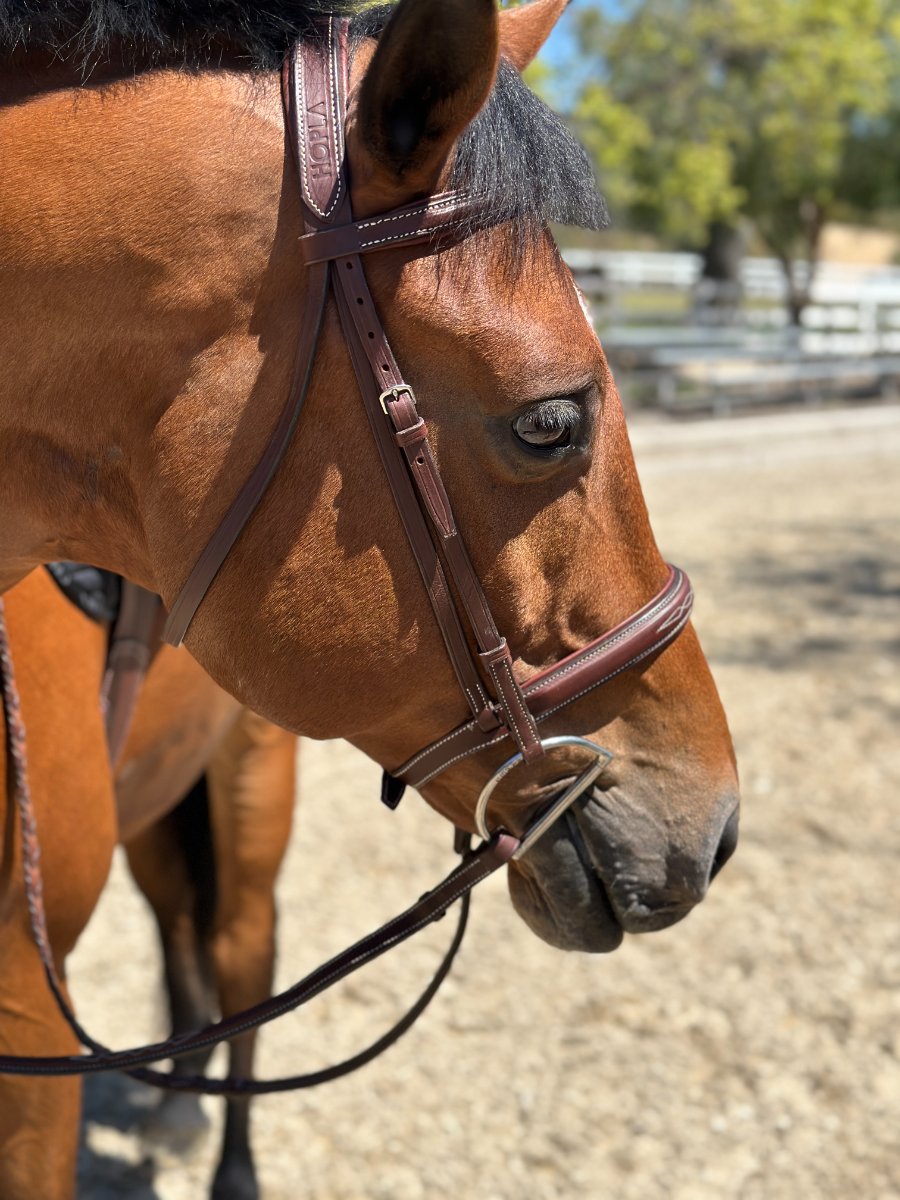 🧡 HOP LA Sellerie 🧡 HOPLA Sellerie Hunter Bridle With Fancy Stitching (7)