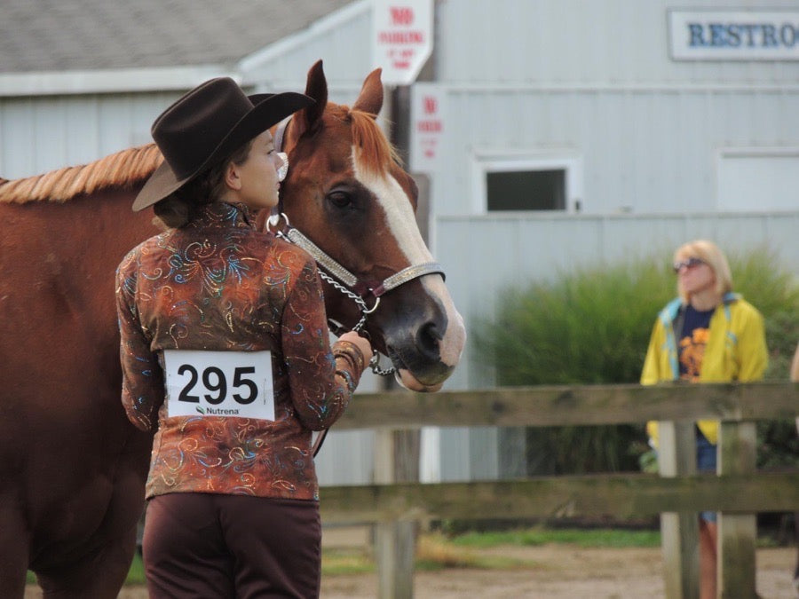 Other Showmanship/ horsemanship outfit (4)