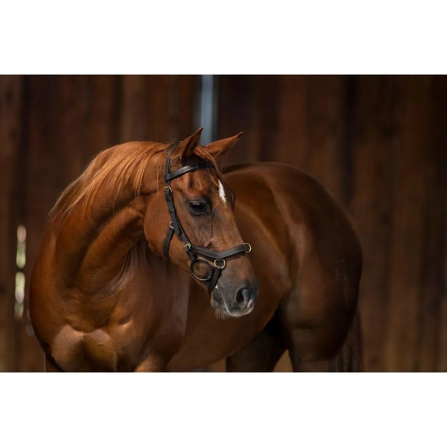 RAMBO MICKLEM Rambo Micklem Original MultiBridle - Brown