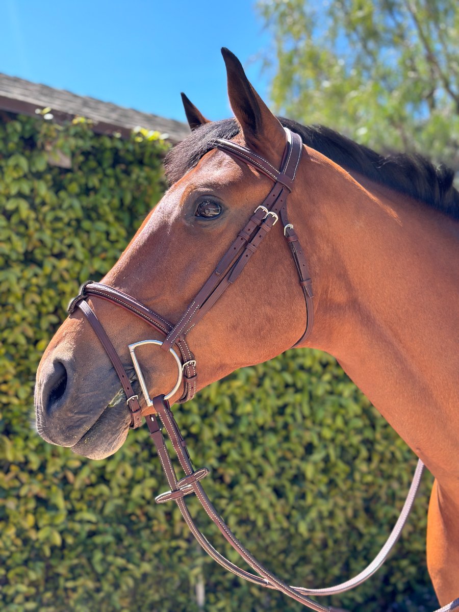 HOPLA Sellerie French Noseband Bridle With Fancy Stitching