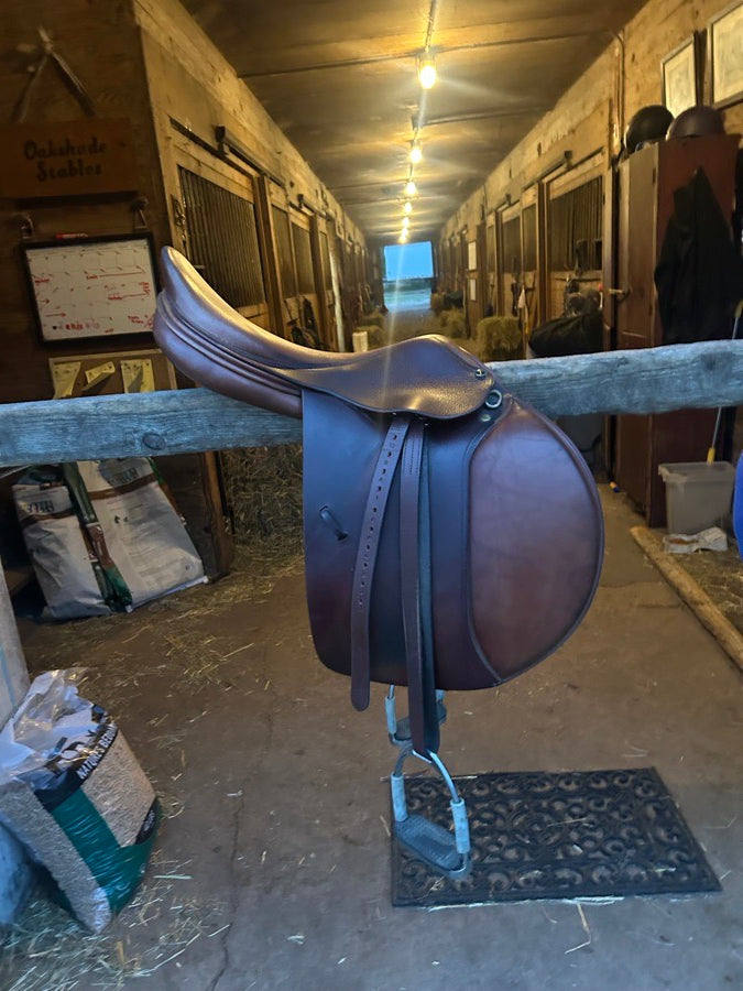 DOMINUS Saddle for sale
