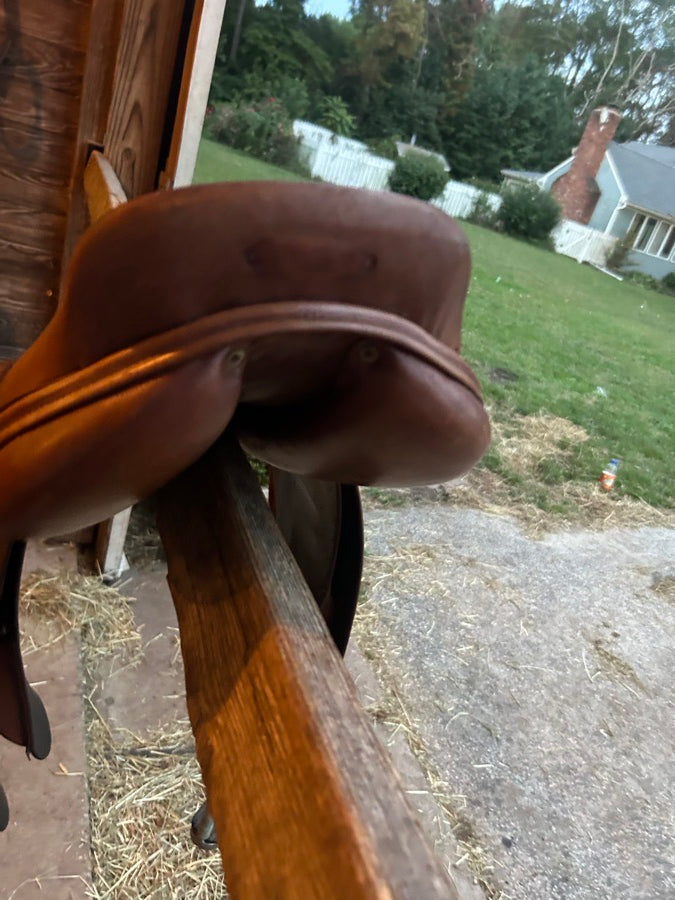 DOMINUS Saddle for sale (5)