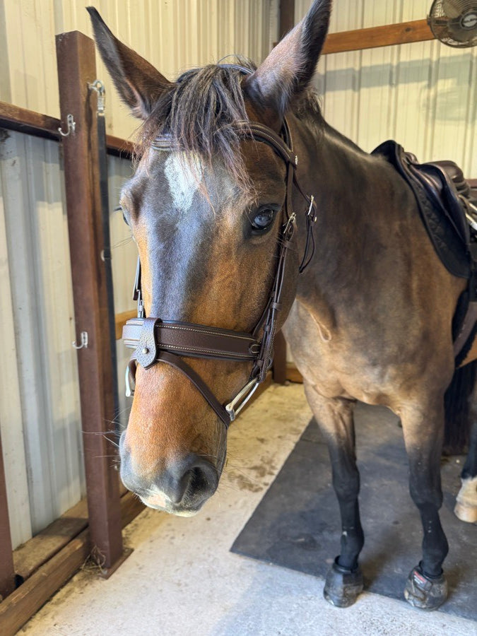 BUTET Forestier Sellier French Bridle Horse (4)