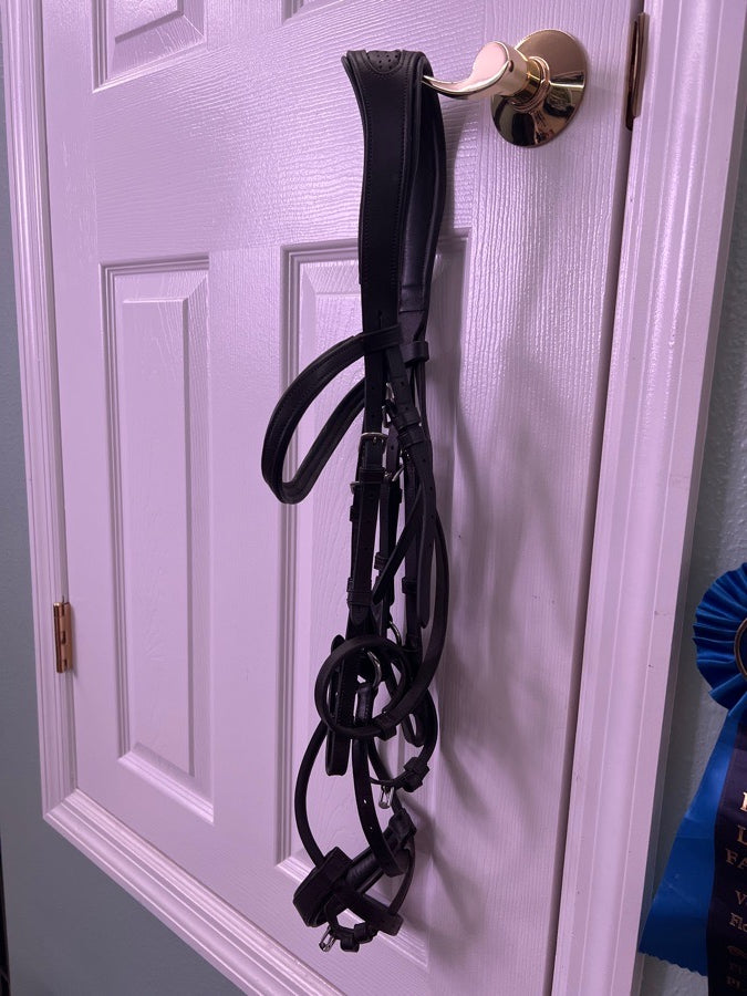 Other Training bridle (3)