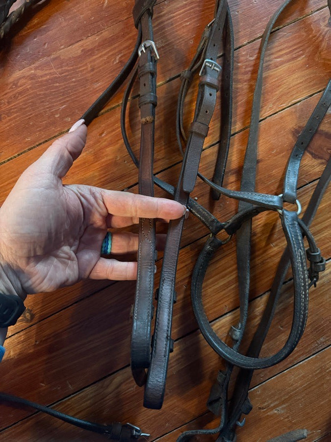 Other Fill sized schooling bridle and reins (2)