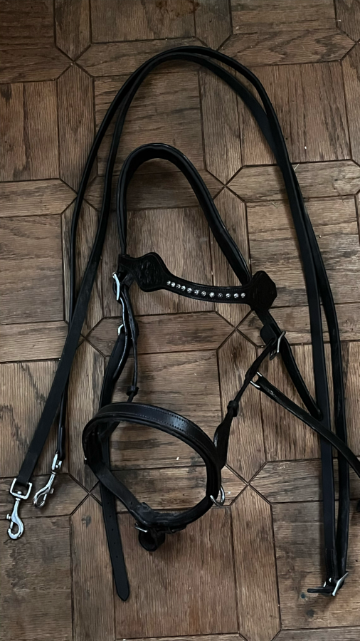 OTHER Sidepull bitless bridle w/ reins