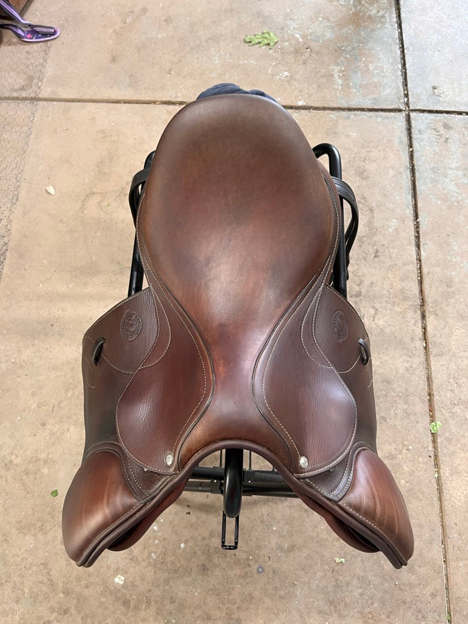 ANTARES ANTARES | 18" | 5" Tree Size | 2024 (5)