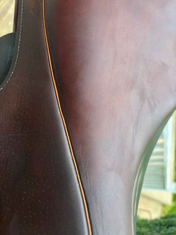 PESSOA Pessoa Saddle (7)