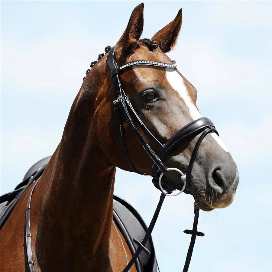 PASSIER Passier Atlas Bridle