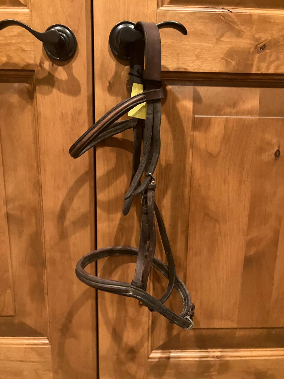 Hunter/Jumper Bridle (3)