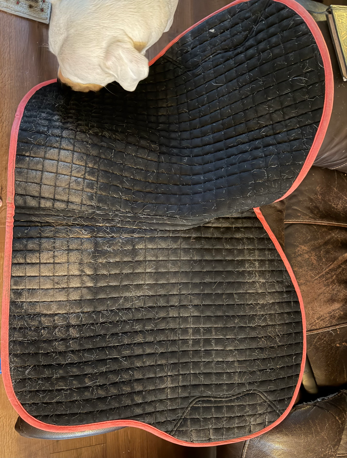 LEMIEUX LEMIEUX Pad (3)