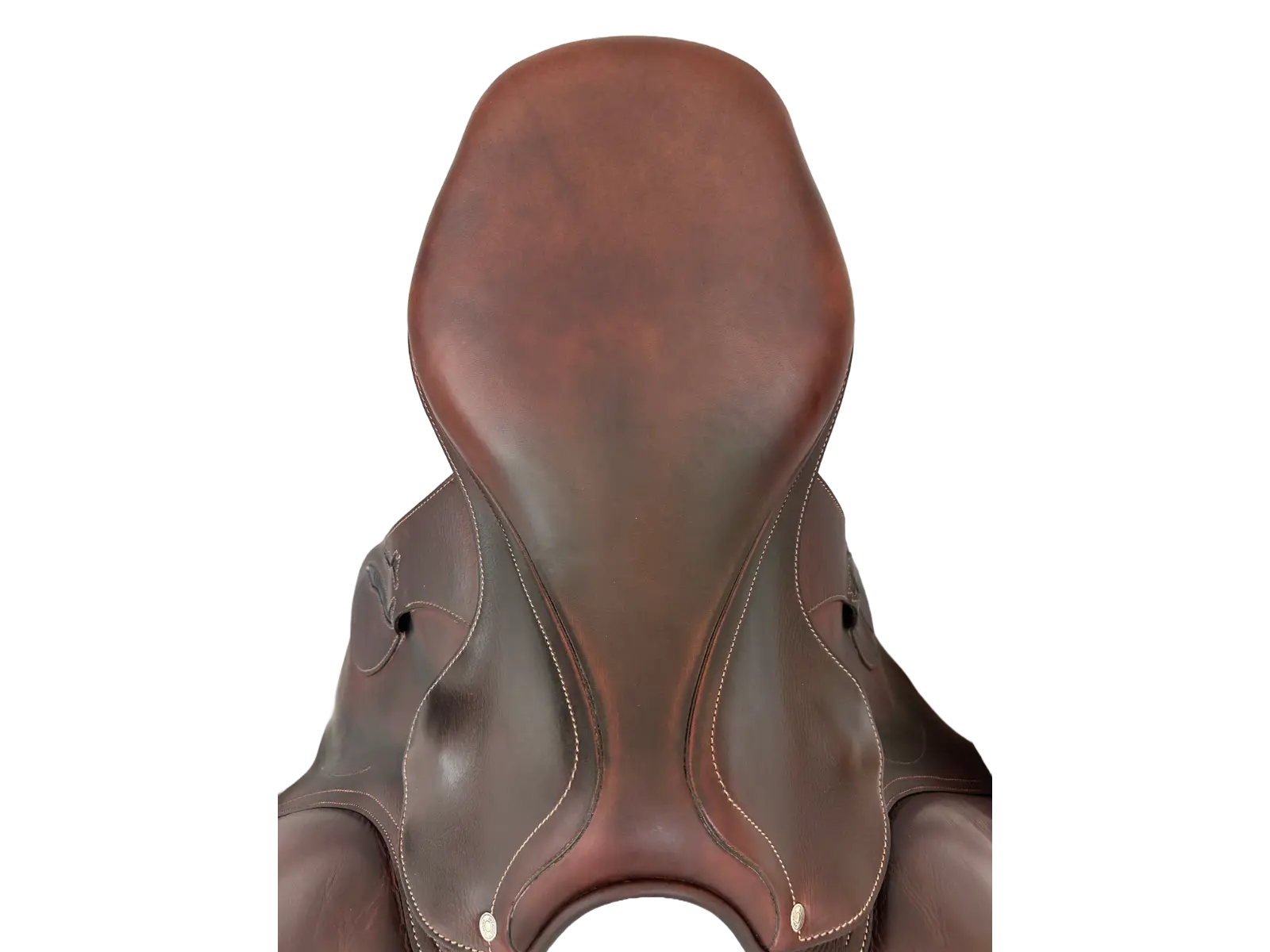 ANTARES ANTARES | 17.5" 2 | 4.75" Tree Size | 2024 (5)